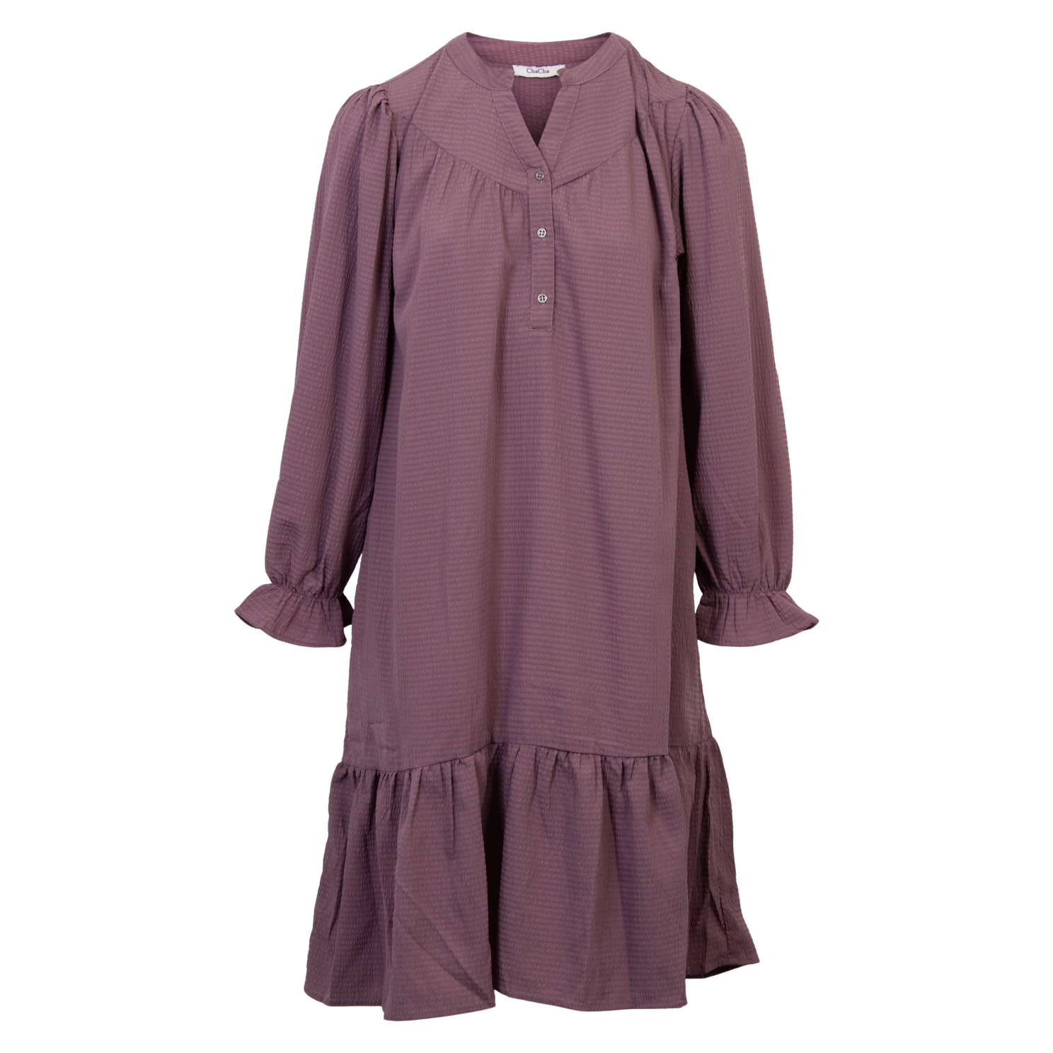 Chacha Plus Size Kjole i Plum – Stil til Hverdag og Fest
